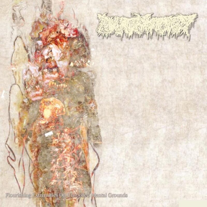PHARMACIST (Jap) 'Flourishing Extremities On Unspoiled…' LP (Beer)