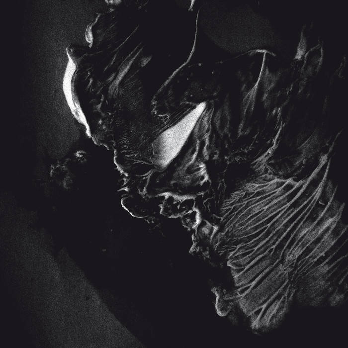 WELLS VALLEY (Por) 'Achamoth' CD