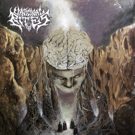 VATICINAL RITES (Uk) 'Vaticinal Rites' MINI CD