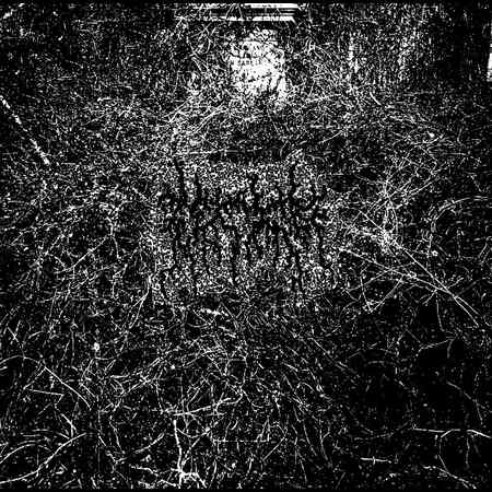 ÄRID (Usa) 'Harvesting the Toil of Flesh Beyond…' CD