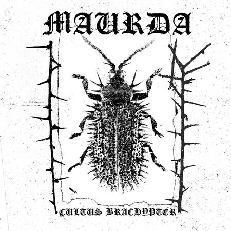 MAURDA (Ger) 'Cultus Brachypter' MINICD