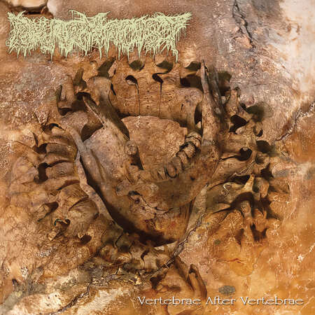 PHARMACIST (Jap) 'Vertebrae After Vertebrae' CD