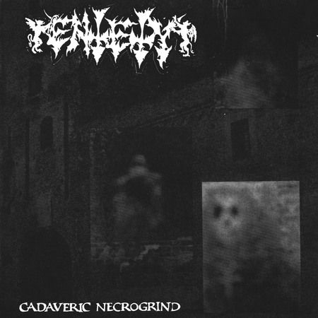 ENTETY (Usa) 'Cadaverous Necrogrind' LP