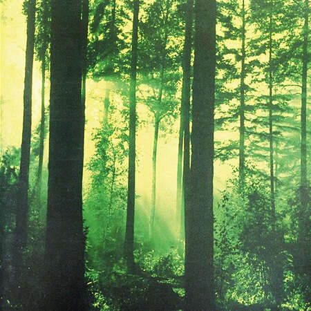 THY SERPENT (Fin) 'Forests of Witchery' LP
