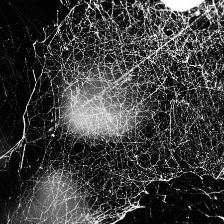 HADOPELAGYAL (Ger) 'Haematophoryktos' DIGI CD